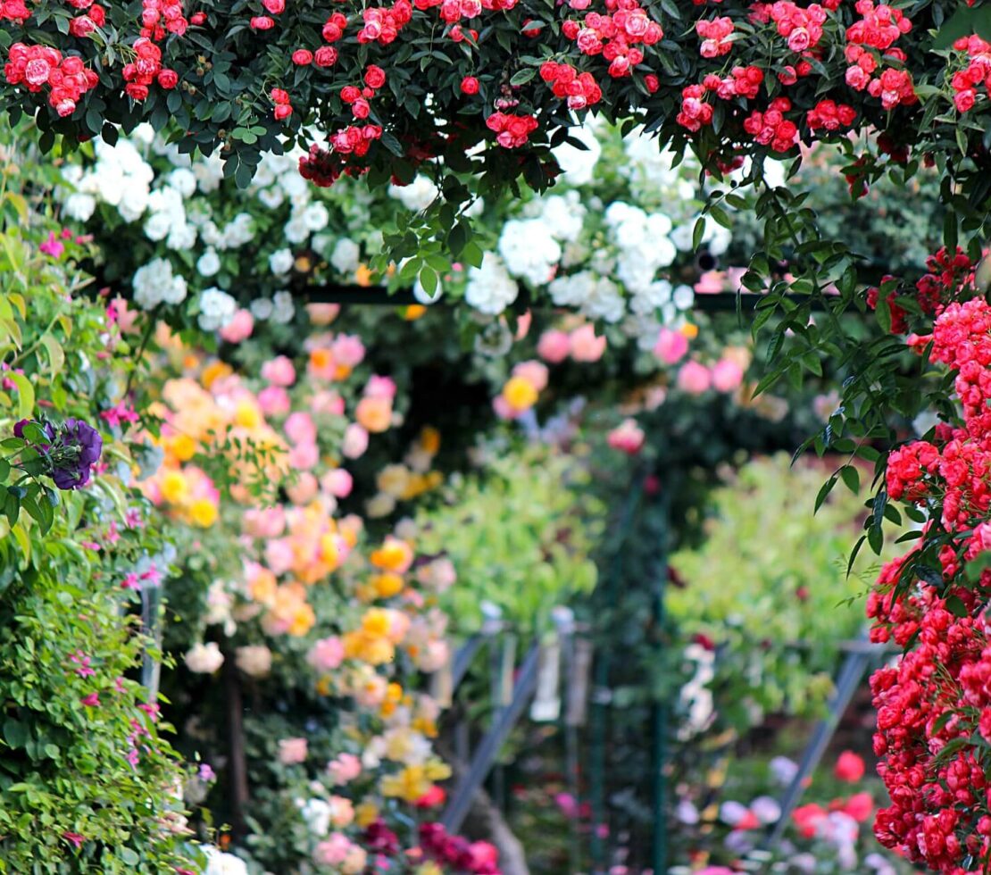 Градски пространства дизайн и функционалност