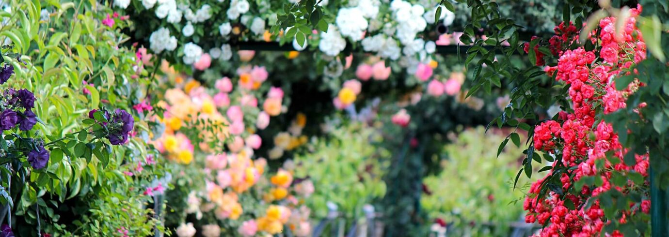 Градски пространства дизайн и функционалност - Globstroy